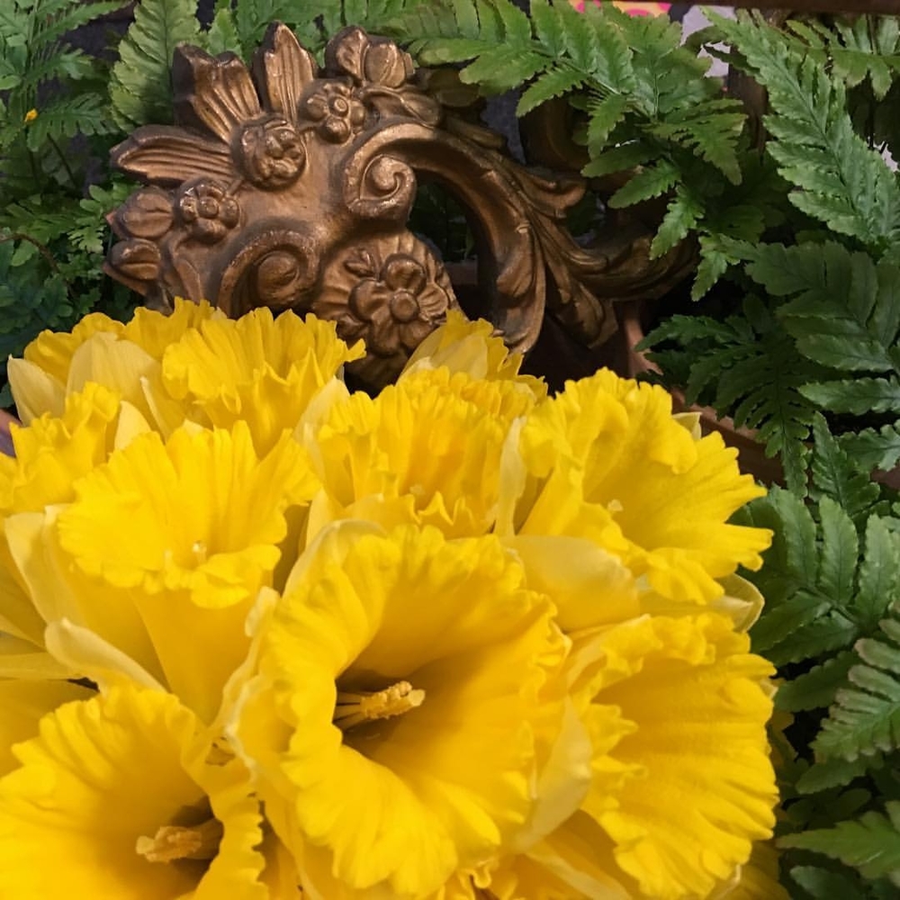 Meet your Posher, Michelle